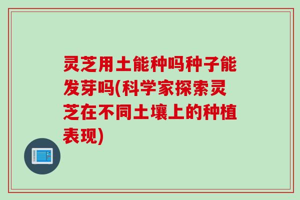灵芝用土能种吗种子能发芽吗(科学家探索灵芝在不同土壤上的种植表现)