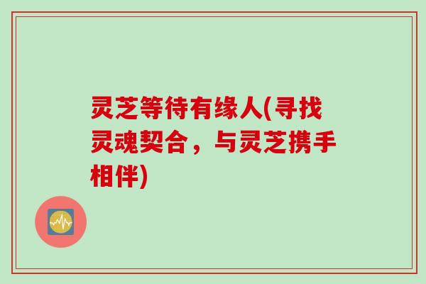 灵芝等待有缘人(寻找灵魂契合,与灵芝携手相伴) 灵芝等待有缘人(寻找灵魂契合,与灵芝携手相伴)