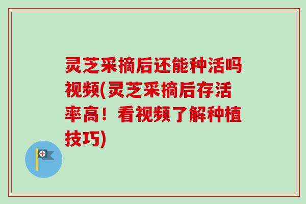 灵芝采摘后还能种活吗视频(灵芝采摘后存活率高！看视频了解种植技巧)