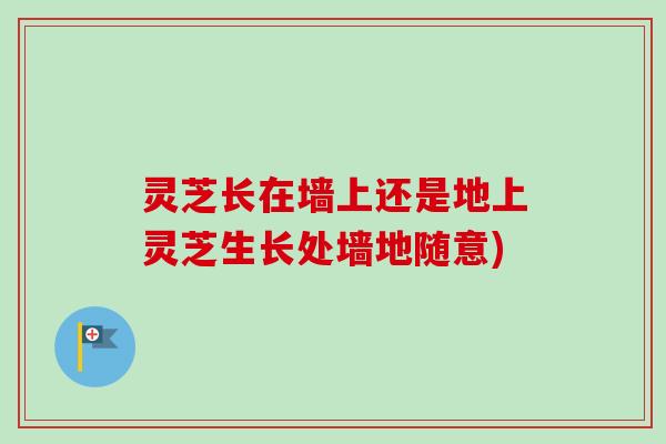 灵芝长在墙上还是地上灵芝生长处墙地随意) 灵芝长在墙上还是地上灵芝生长处墙地随意)