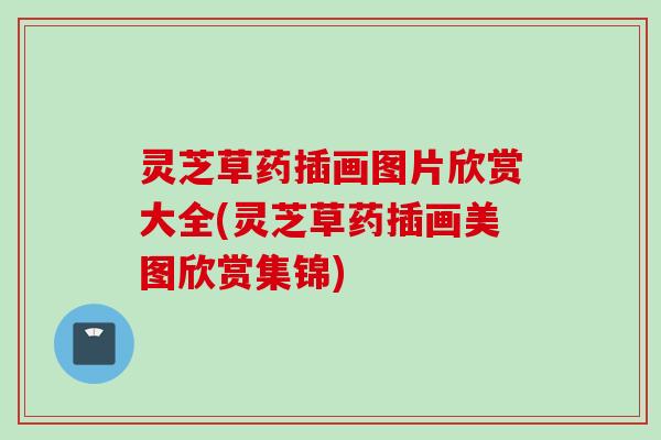 灵芝草药插画图片欣赏大全(灵芝草药插画美图欣赏集锦) 灵芝草药插画图片欣赏大全(灵芝草药插画美图欣赏集锦)