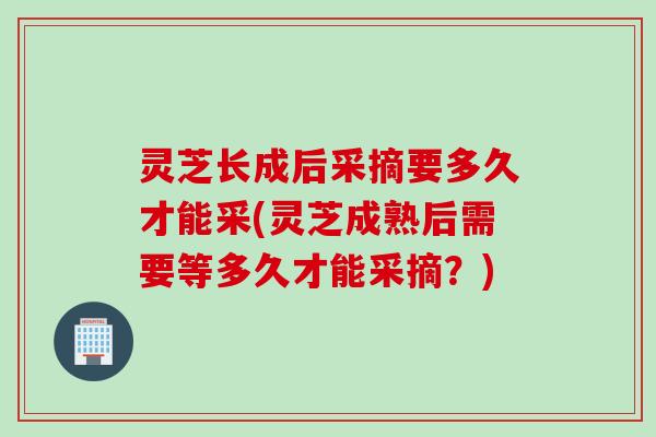 灵芝长成后采摘要多久才能采(灵芝成熟后需要等多久才能采摘?) 灵芝长成后采摘要多久才能采(灵芝成熟后需要等多久才能采摘?)