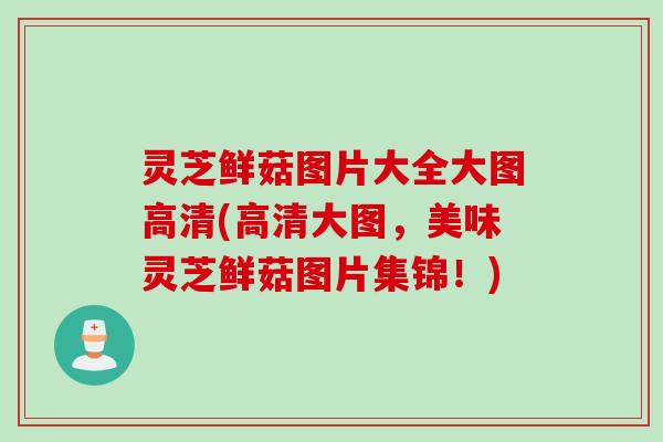 灵芝鲜菇图片大全大图高清(高清大图，美味灵芝鲜菇图片集锦！)