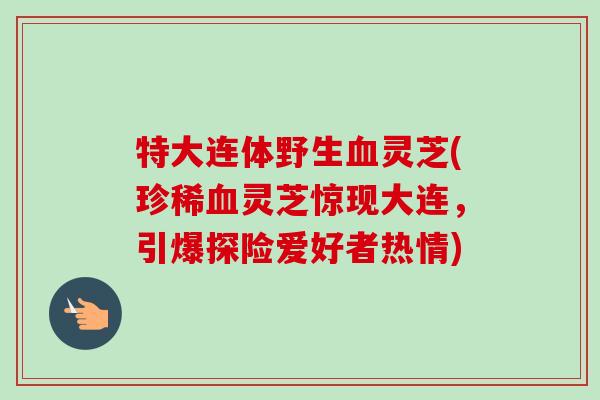 特大连体野生血灵芝(珍稀血灵芝惊现大连，引爆探险爱好者热情)