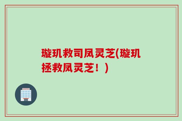 璇玑救司凤灵芝(璇玑拯救凤灵芝！)