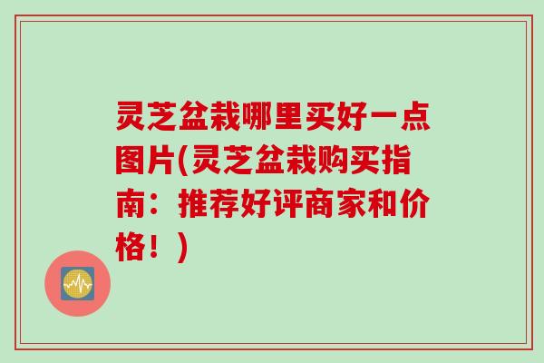 灵芝盆栽哪里买好一点图片(灵芝盆栽购买指南:推荐好评商家和价格!) 灵芝盆栽哪里买好一点图片(灵芝盆栽购买指南:推荐好评商家和价格!)