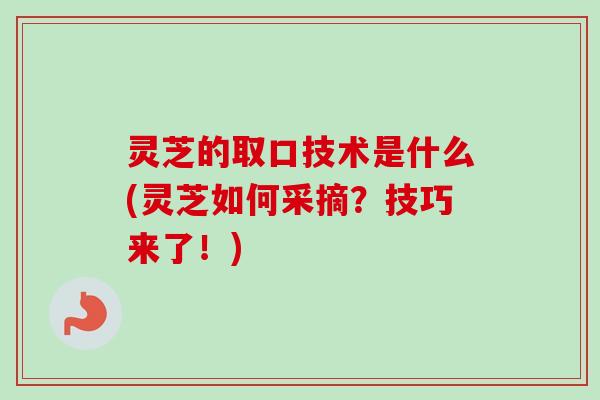 灵芝的取口技术是什么(灵芝如何采摘？技巧来了！)