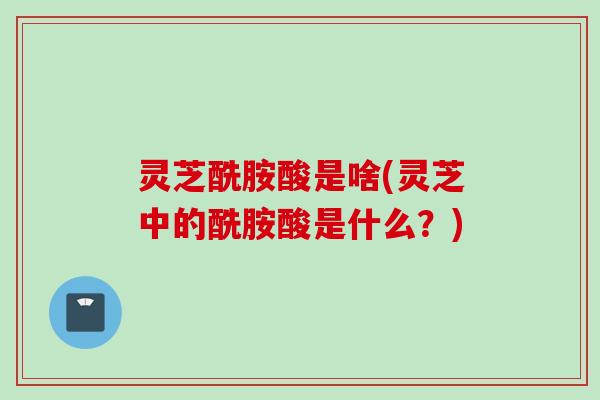 灵芝酰胺酸是啥(灵芝中的酰胺酸是什么？)