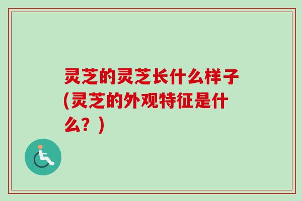 灵芝的灵芝长什么样子(灵芝的外观特征是什么？)