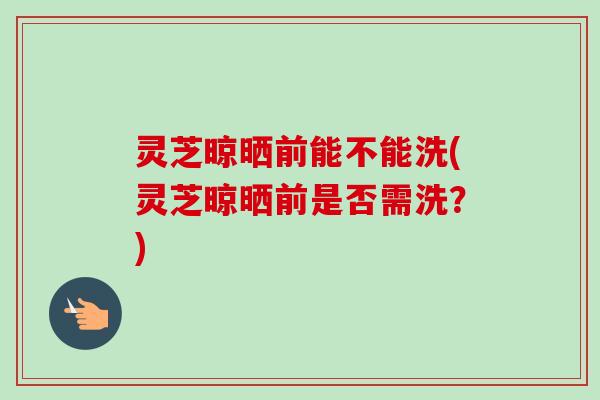 灵芝晾晒前能不能洗(灵芝晾晒前是否需洗？)