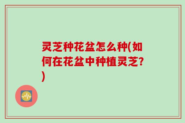 灵芝种花盆怎么种(如何在花盆中种植灵芝？)