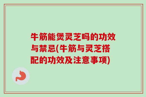 牛筋能煲灵芝吗的功效与禁忌(牛筋与灵芝搭配的功效及注意事项)