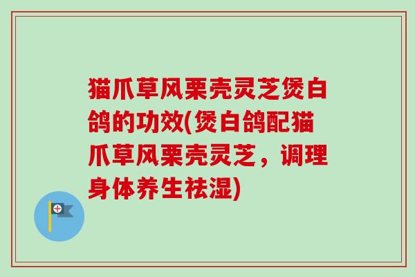 猫爪草风栗壳灵芝煲白鸽的功效(煲白鸽配猫爪草风栗壳灵芝,调理身体养生祛湿) 猫爪草风栗壳灵芝煲白鸽的功效(煲白鸽配猫爪草风栗壳灵芝,调理身体养生祛湿)