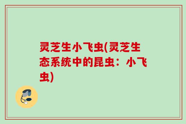 灵芝生小飞虫(灵芝生态系统中的昆虫：小飞虫)