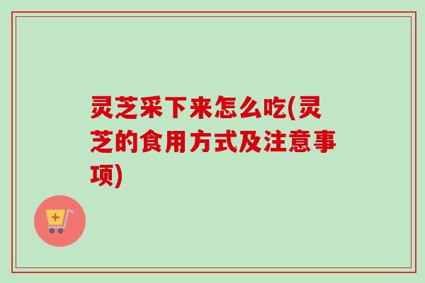 灵芝采下来怎么吃(灵芝的食用方式及注意事项)
