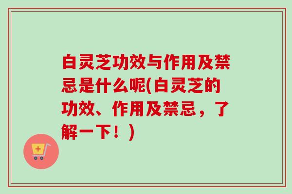 白灵芝功效与作用及禁忌是什么呢(白灵芝的功效、作用及禁忌，了解一下！)