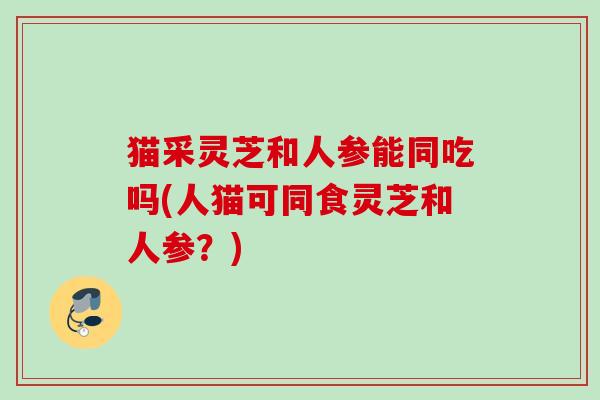 猫采灵芝和人参能同吃吗(人猫可同食灵芝和人参？)