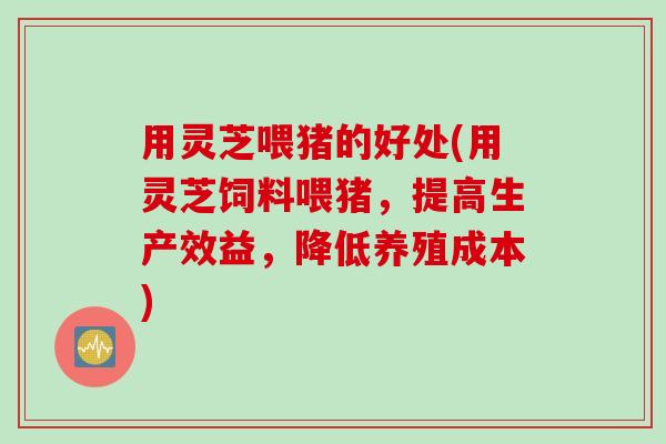 用灵芝喂猪的好处(用灵芝饲料喂猪，提高生产效益，降低养殖成本)