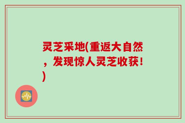 灵芝采地(重返大自然，发现惊人灵芝收获！)