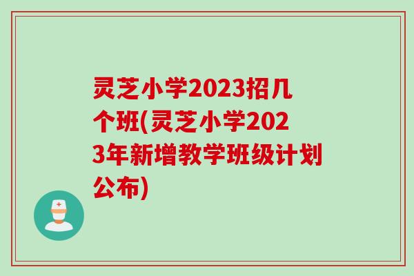 灵芝小学2023招几个班(灵芝小学2023年新增教学班级计划公布)