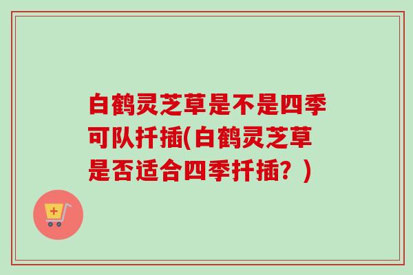 白鹤灵芝草是不是四季可队扦插(白鹤灵芝草是否适合四季扦插？)