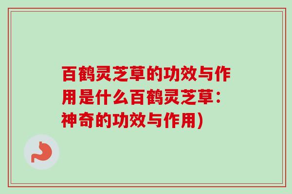 百鹤灵芝草的功效与作用是什么百鹤灵芝草:神奇的功效与作用) 百鹤灵芝草的功效与作用是什么百鹤灵芝草:神奇的功效与作用)