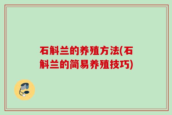 石斛兰的养殖方法(石斛兰的简易养殖技巧) 石斛兰的养殖方法(石斛兰的简易养殖技巧)