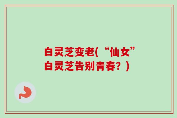 白灵芝变老(“仙女”白灵芝告别青春？)
