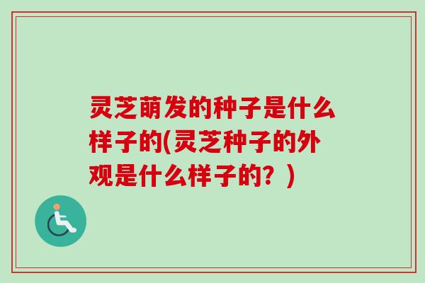 灵芝萌发的种子是什么样子的(灵芝种子的外观是什么样子的？)