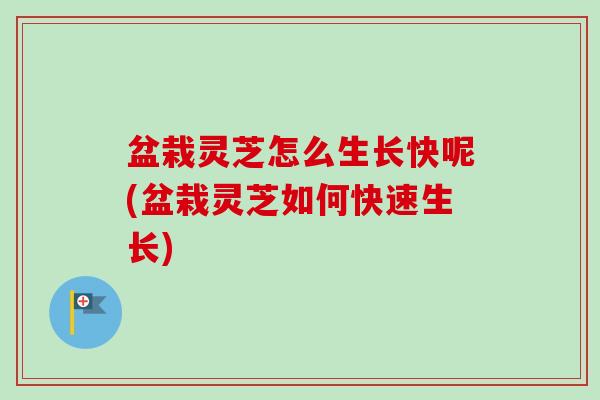 盆栽灵芝怎么生长快呢(盆栽灵芝如何快速生长)