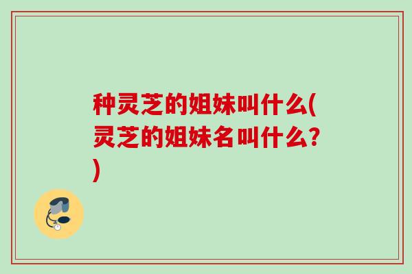 种灵芝的姐妹叫什么(灵芝的姐妹名叫什么？)