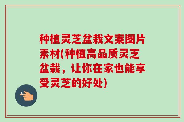 种植灵芝盆栽文案图片素材(种植高品质灵芝盆栽，让你在家也能享受灵芝的好处)