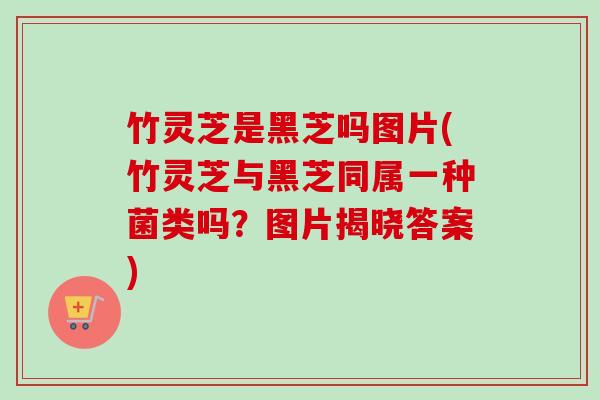 竹灵芝是黑芝吗图片(竹灵芝与黑芝同属一种菌类吗?图片揭晓答案) 竹灵芝是黑芝吗图片(竹灵芝与黑芝同属一种菌类吗?图片揭晓答案)