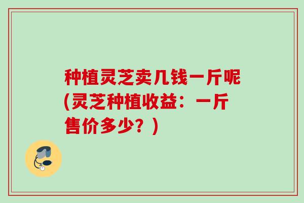 种植灵芝卖几钱一斤呢(灵芝种植收益：一斤售价多少？)