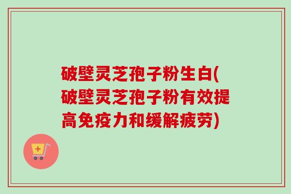 破壁灵芝孢子粉生白(破壁灵芝孢子粉有效提高免疫力和缓解疲劳)