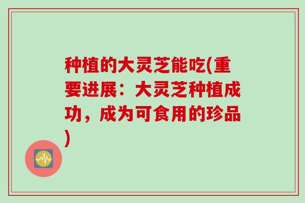 种植的大灵芝能吃(重要进展：大灵芝种植成功，成为可食用的珍品)