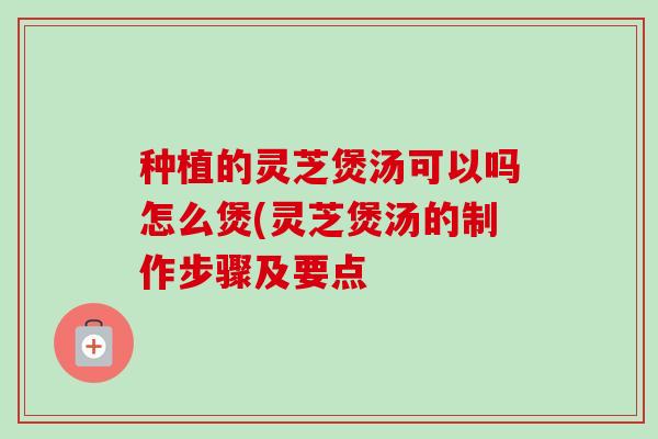 种植的灵芝煲汤可以吗怎么煲(灵芝煲汤的制作步骤及要点