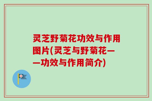 灵芝野菊花功效与作用图片(灵芝与野菊花——功效与作用简介)