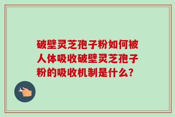 破壁灵芝孢子粉如何被人体吸收破壁灵芝孢子粉的吸收机制是什么？
