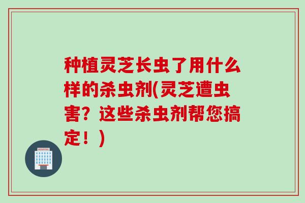 种植灵芝长虫了用什么样的杀虫剂(灵芝遭虫害？这些杀虫剂帮您搞定！)