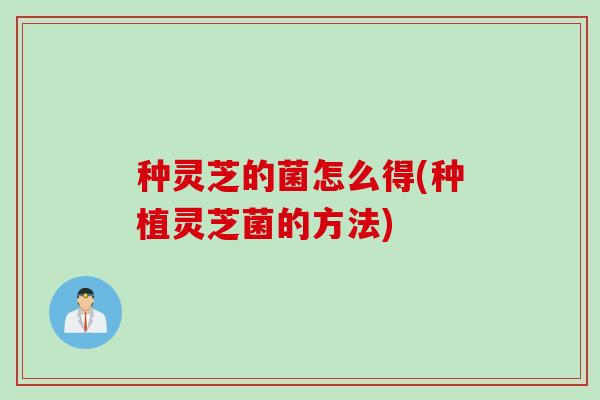种灵芝的菌怎么得(种植灵芝菌的方法)