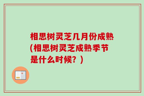 相思树灵芝几月份成熟(相思树灵芝成熟季节是什么时候？)