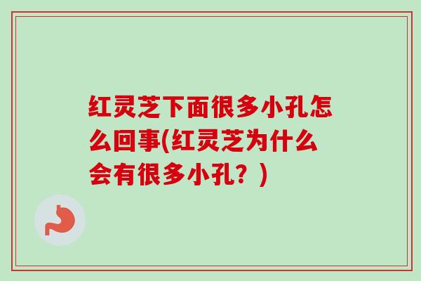 红灵芝下面很多小孔怎么回事(红灵芝为什么会有很多小孔？)