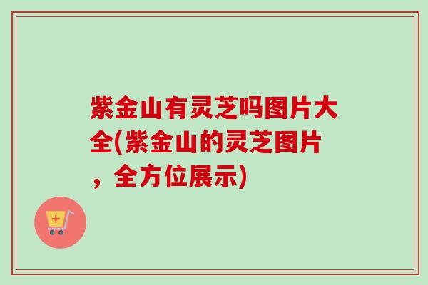 紫金山有灵芝吗图片大全(紫金山的灵芝图片，全方位展示)