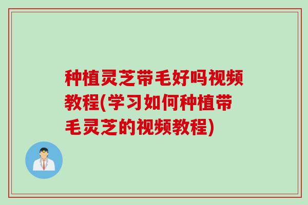 种植灵芝带毛好吗视频教程(学习如何种植带毛灵芝的视频教程)