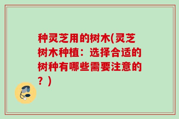 种灵芝用的树木(灵芝树木种植:选择合适的树种有哪些需要注意的?) 种灵芝用的树木(灵芝树木种植:选择合适的树种有哪些需要注意的?)