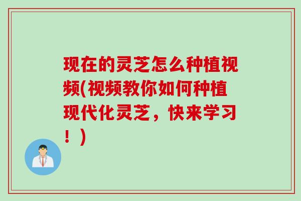 现在的灵芝怎么种植视频(视频教你如何种植现代化灵芝，快来学习！)