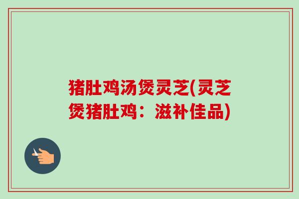 猪肚鸡汤煲灵芝(灵芝煲猪肚鸡：滋补佳品)