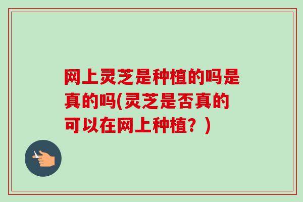 网上灵芝是种植的吗是真的吗(灵芝是否真的可以在网上种植？)