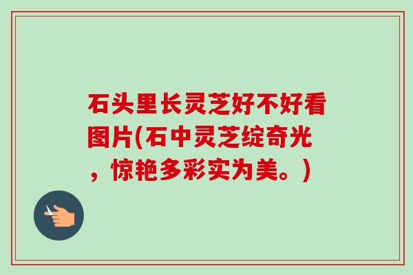 石头里长灵芝好不好看图片(石中灵芝绽奇光,惊艳多彩实为美。) 石头里长灵芝好不好看图片(石中灵芝绽奇光,惊艳多彩实为美。)